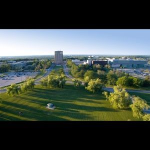 Meet your Posher, Riley